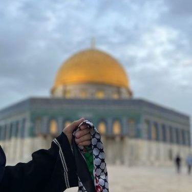 AbuElseed96's profile picture. 