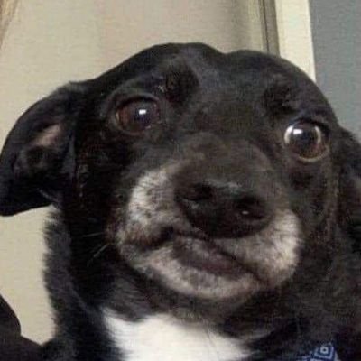 Erick_gSa's profile picture. Matematiko belico