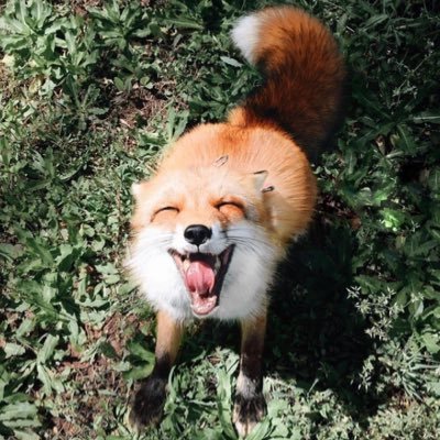 trananh_arch's profile picture. Cô gái nông thôn