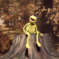Tweetsmcgeets (@tweetsmcgeets3) 's Twitter Profile