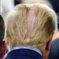 DogPiss68 (@chefpatrick68) 's Twitter Profile
