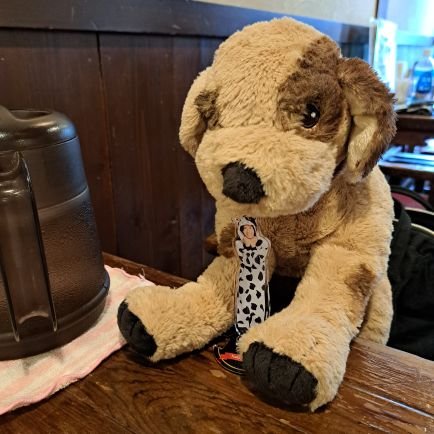 yutamoneast0321's profile picture. お家には、保護猫💙❤️保護犬💙
iLYs🩵です　　
神宮寺くん💙大好き🩵💙神くん沼に首までつかり幸せ💙　神くんの大切な人はまるっと大切　紫耀くん❤️岸くん💜も応援
かなりの大人💙人生最後の推し活　
無言フォローOK穏やかに楽しく応援