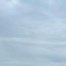 THEXAGCD's profile picture. ⠀