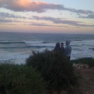 molehat's profile picture. 