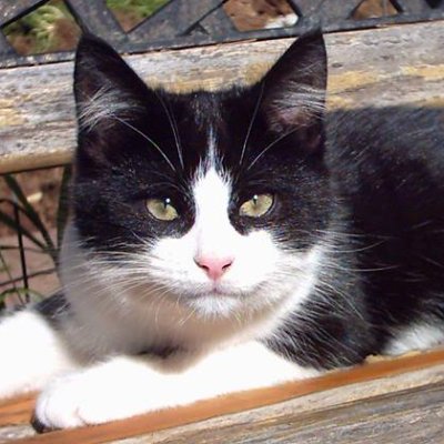 doovidozzy's profile picture. Lancashire lad