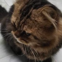 J (@amjorbor) 's Twitter Profile