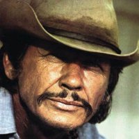 Charles Bronson(@tigre77) 's Twitter Profile Photo