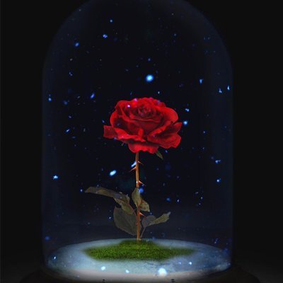 MaryamBoos12633's profile picture. هیچ وقت خودتو برای پسندیده شدن توسط دیگران، تغییر نده