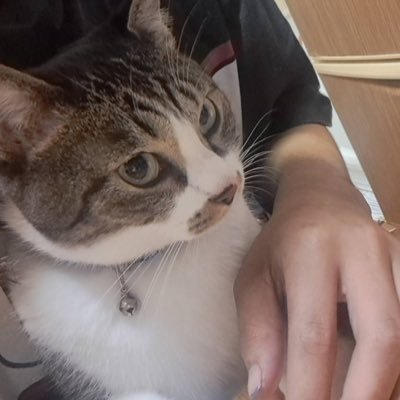 Kilm:むるきさんさんのプロフィール画像