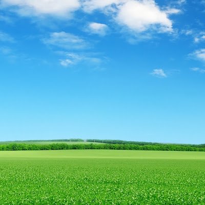 SBaron54753's profile picture. 