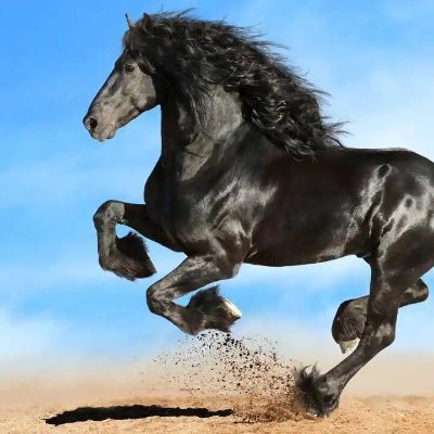 MarieAnder97349's profile picture. "💙 https://t.co/k9FxW1kXYB Army"