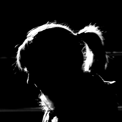 ravnskjaer's profile picture. Agile software craftsman with a passion for games and science - hate sports but love roller derby - eclipse chaser
Moved to Bluesky https://t.co/eKyPl1JRP1