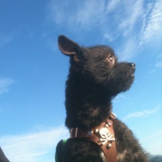 papus2323's profile picture. 