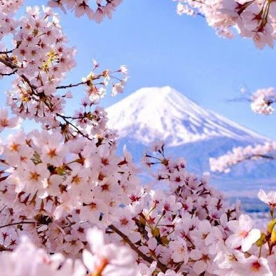 love260126's profile picture. Now lives in Kyoto, Japan