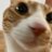 taromillkt's profile image