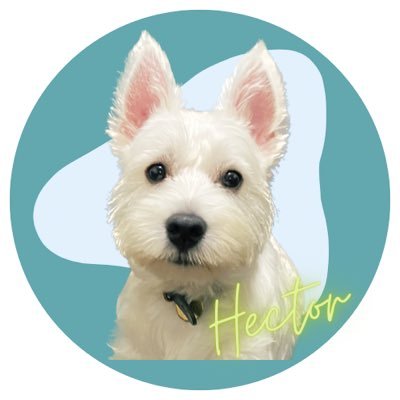 hector_innu Profile Picture