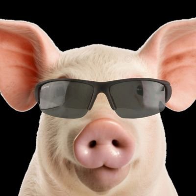 CochoFantastico Profile Picture