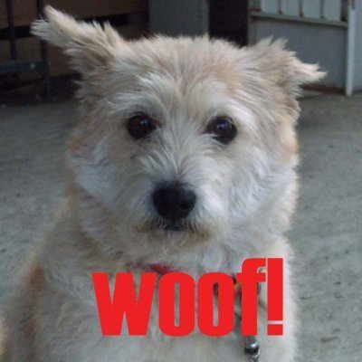 Q6sT4gZnho17376's profile picture. 最果ての北の大地に居住。動物・東宝怪獣・音楽・映画(共にジャンル問わず) 神社、神宮好き 一寸こころを患っているプチ・ベジタリアン 某動物愛護団体会員っす