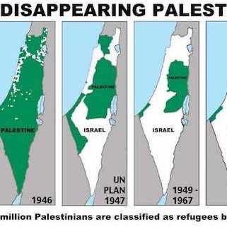 RashidJamaal's profile picture. Palestinian