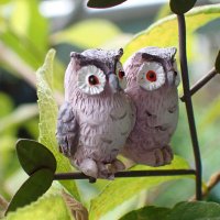 とし＠置くとこない (@okutokonai) Twitter profile photo