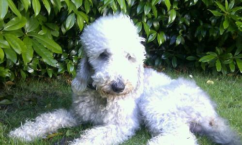 5dinnertrev's profile picture. NH /POINT TO POINT/CYCLING LOVE IT! BUT A GOOD PASTY COMES A CLOSE SECOND!!!