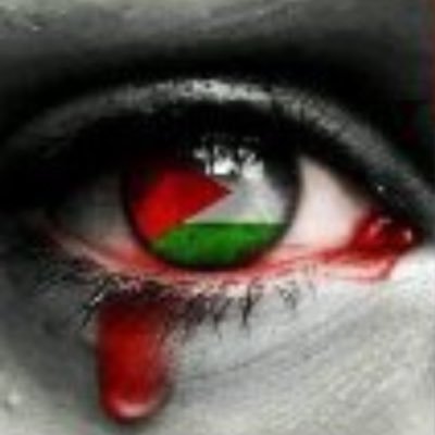 Webmaster e Fotografa ~ #freepalestine 🇪🇭 #freeJulianAssange #PoterealPopolo