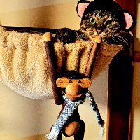 ピエール猿団 (@czth0ukmwe68333) 's Twitter Profile Photo