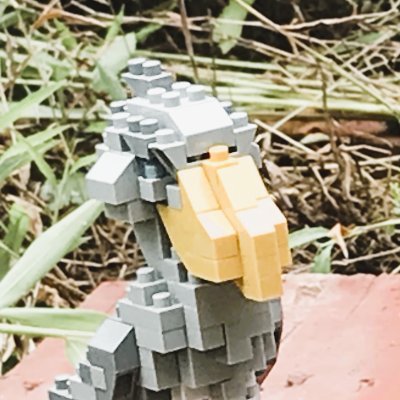 shoebillshaw314's profile picture. 作曲家。エレクトロニクスを主に製造・出荷していく予定