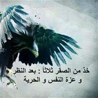 طائرالنورس (@aalghyly28421) 's Twitter Profile