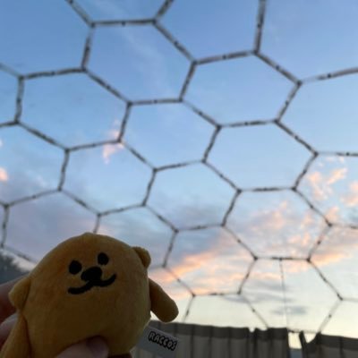 mugennihirogare's profile picture. 🕊🦂/成人済