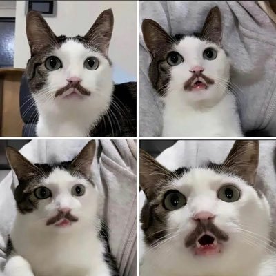 bousoumobe's profile picture. 頑張って生きて行きたい…が…無理め…