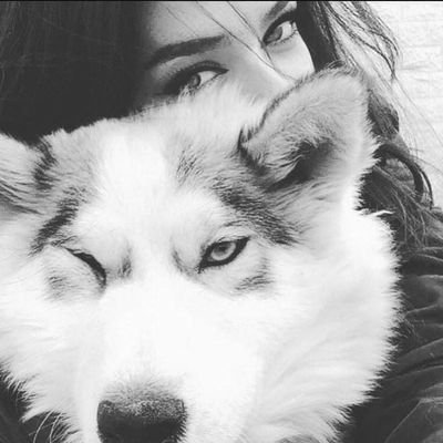 mhma508700's profile picture. Gaza ❤️🇵🇸