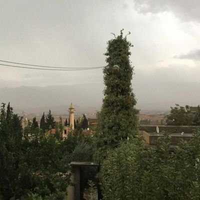 ngdwtill's profile picture. Reporter @aljadeedfan