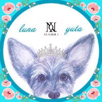 る⋆⸜🩵⸝‍⋆な •*¨*•.¸¸♪💙(@luna07mix) 's Twitter Profileg