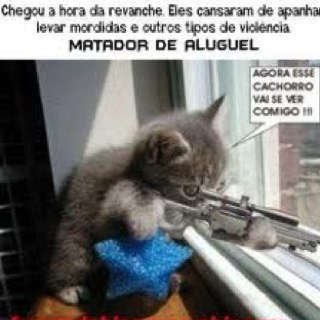 Ithalo2099's profile picture. 