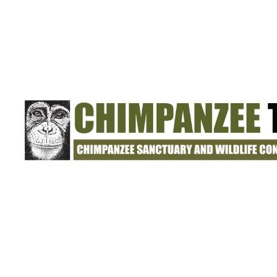 Chimpanzee Trust/Ngamba Island Chimp Sanctuary Profile