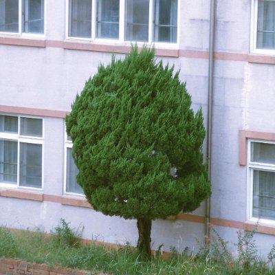 umakemefeelgood's profile picture. ✨im not gonna be the one to get hurt✨                                   
kmj&mjh my priorities 
nwjns my soft place            
 🧸🦭🐶😾🐹

NEWJEANS NEVER DIE