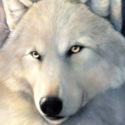 kmalsazedsxC's profile picture. 