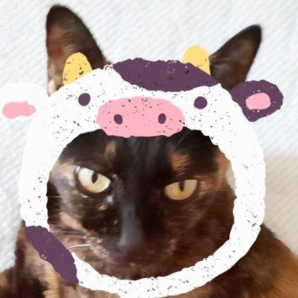 ぱぷちゃん YONMARU＋01❤️さんのプロフィール画像
