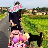 猫じゃけぇ (@nekojyakee) 's Twitter Profile Photo