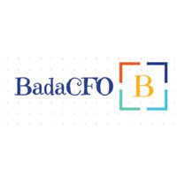 BadaCFO: Crafting unique, strategic financial solutions for your business's success.