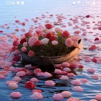 Lena88239865's profile picture. I just didn't wanna sound like a bitch