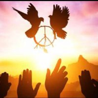 Wolfbard ☮️🦋🌷🦋💟 (@mysticwolf14) 's Twitter Profile