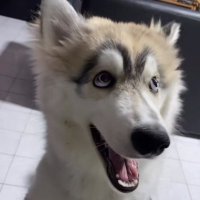 кεερ🧐εиεмιεѕ_clσѕεя🌬️🍂 (@me__casper) 's Twitter Profile