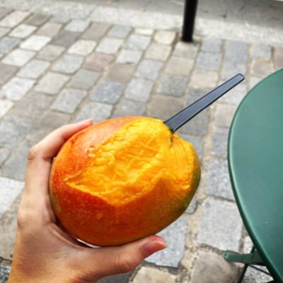アイコンはパリのマルシェで買ったマンゴー