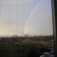 bb2 (@rz1nzfndyrx8sfb) 's Twitter Profile