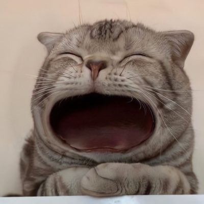 フミチャンさんのプロフィール画像