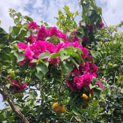 oamaur's profile picture. Mauricio.xch

did:chia:1pgkr85avstqmfka3jvkdtvt9gxdagxyy80lepuf7g0j0nxzr68csegvpns