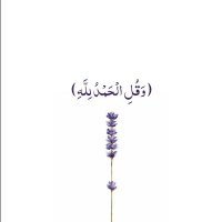 مَـلاك (@m_ali11002) 's Twitter Profile