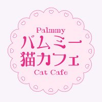 palmmy cat cafe˚₊· — #PalmmyBNK48(@palmmycatcafe) 's Twitter Profileg